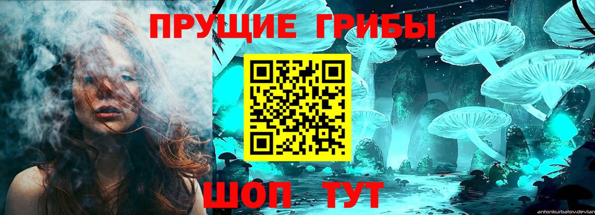 Псилоцибиновые грибы Cubensis  Вход с VPN  Надым 