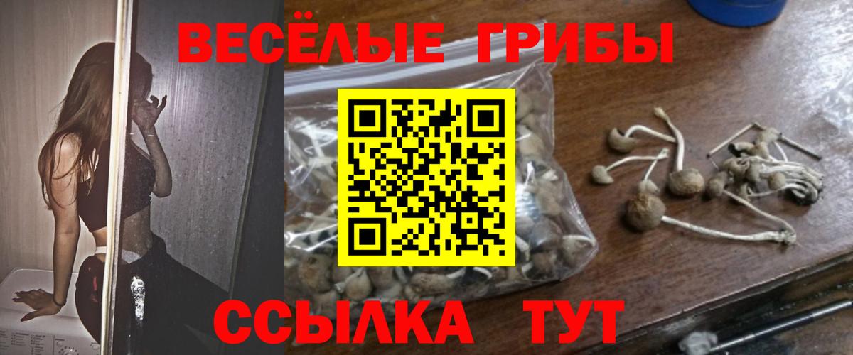 Псилоцибиновые грибы Psilocybine cubensis Надым